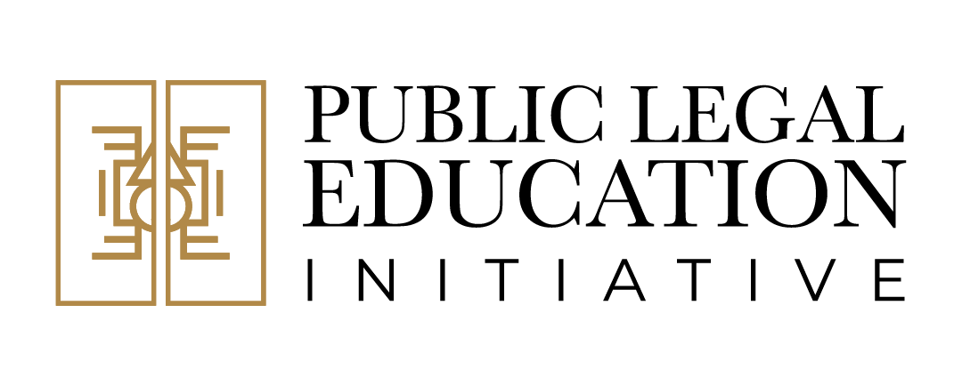 PLEI Ghana Logo
